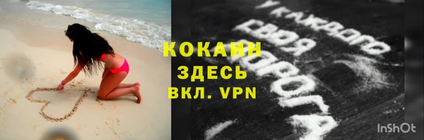 прущий лед Алзамай