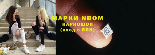 прущий лед Алзамай