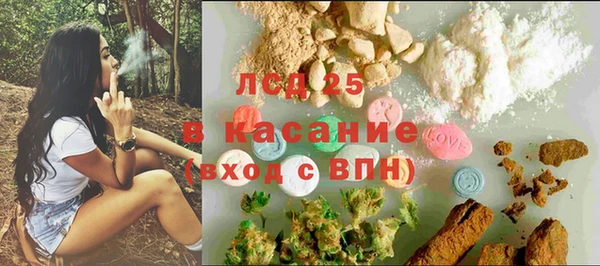 прущий лед Алзамай