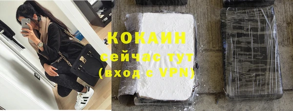 индика Алексеевка
